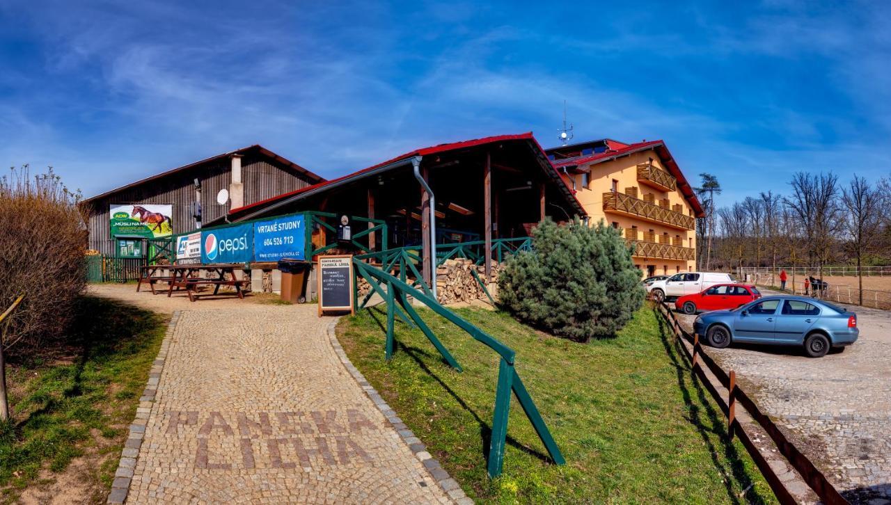 Hotel Panska Licha Brno Exterior photo
